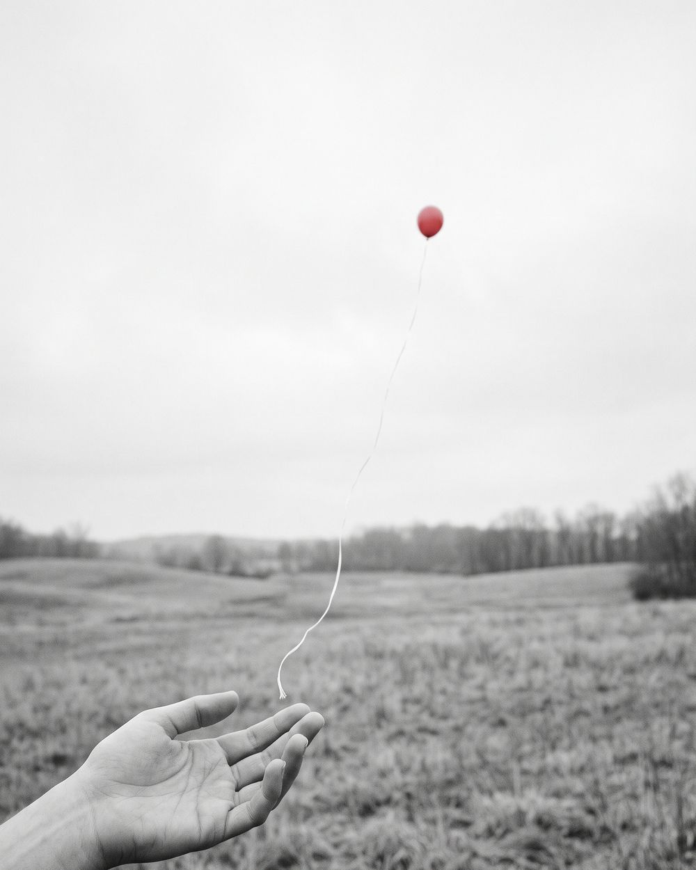Schwarz-weiße Wiese, eine offene Hand hat einen roten Luftballon losgelassen, er steigt in den weiten Himmel